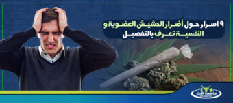 أضرار الحشيش