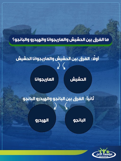 الفرق بين الحشيش والبانجو