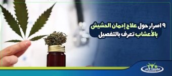 علاج إدمان الحشيش بالأعشاب