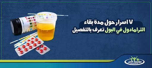 7 اسرار حول مدة بقاء الترامادول في البول تعرف بالتفصيل